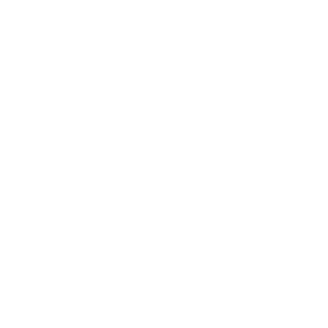logo lsi medical billing en camellando coworking armenia quindío