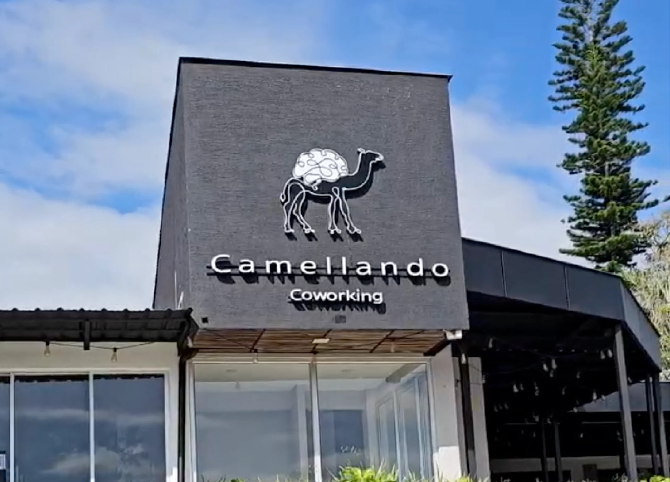 sede campestre el caimo camellando coworking quindío